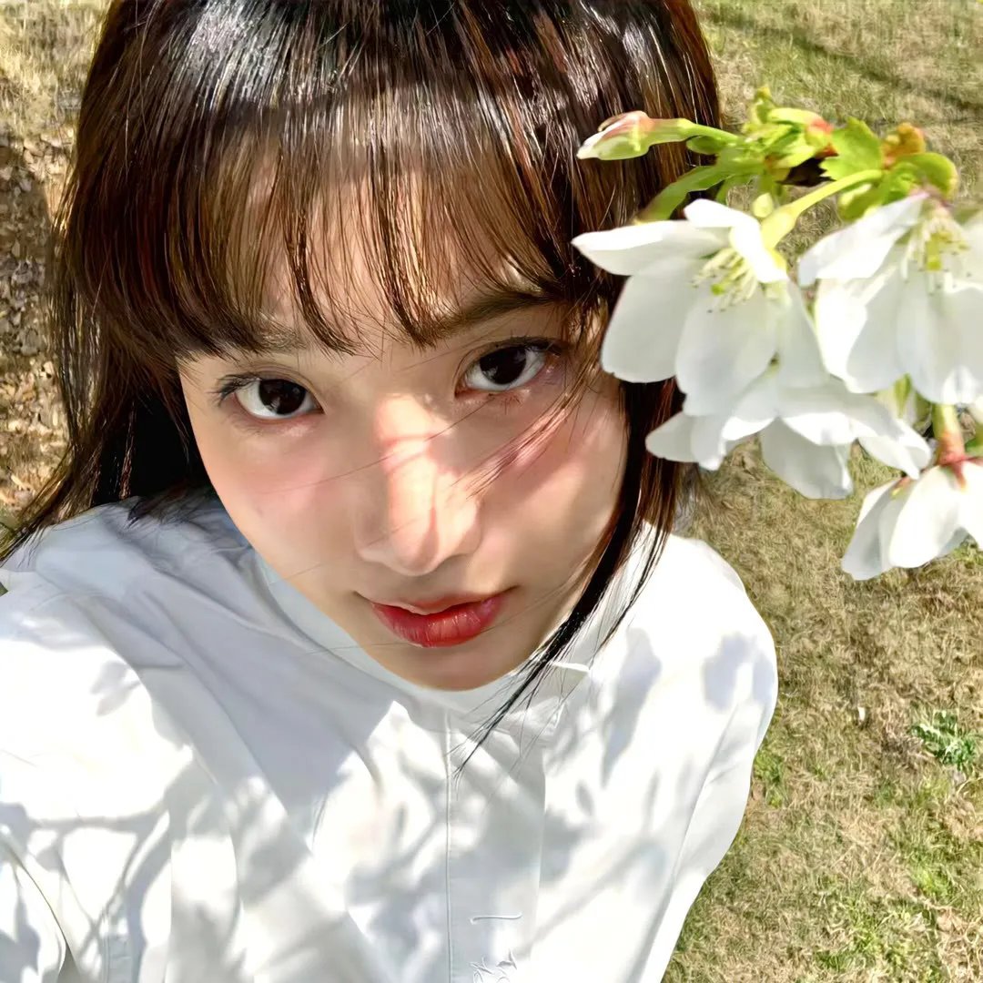 红槐花 海报