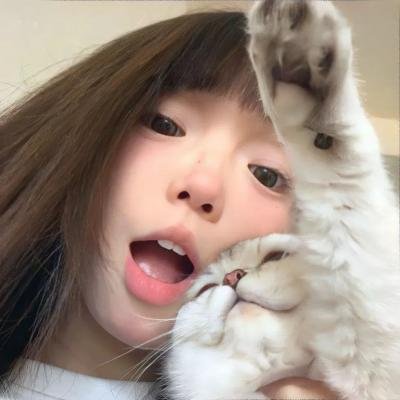 宾虚国语 海报
