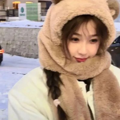 双生赤狐 海报